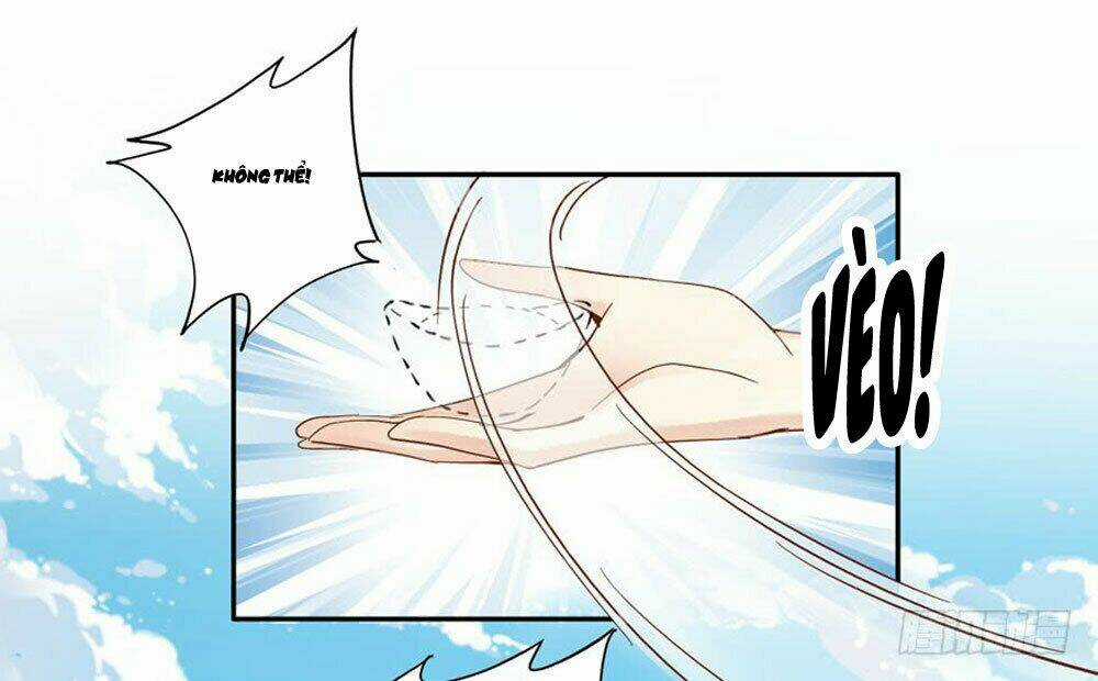 Thiền Tâm Vấn Đạo - Chapter 56 - Trang 14