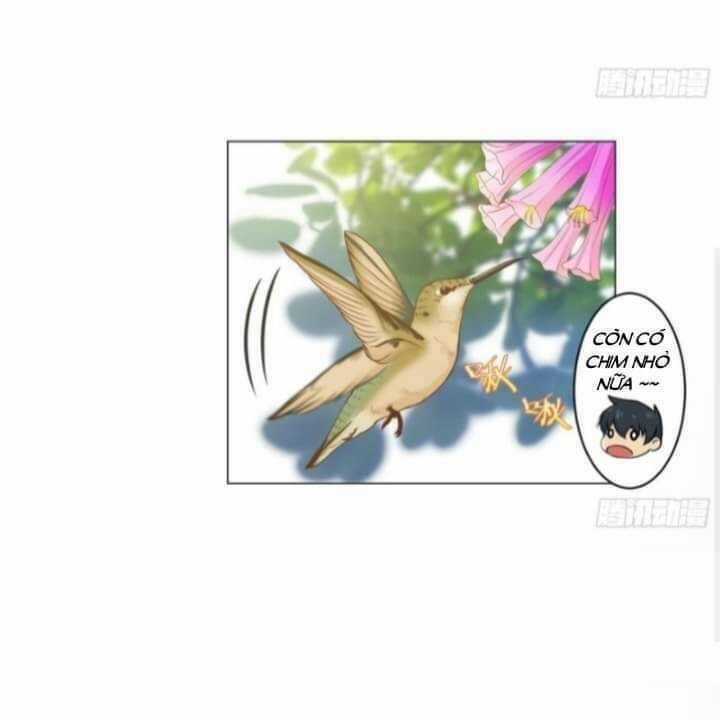 Thiên Thần Shipper - Chương 34 - Trang 5