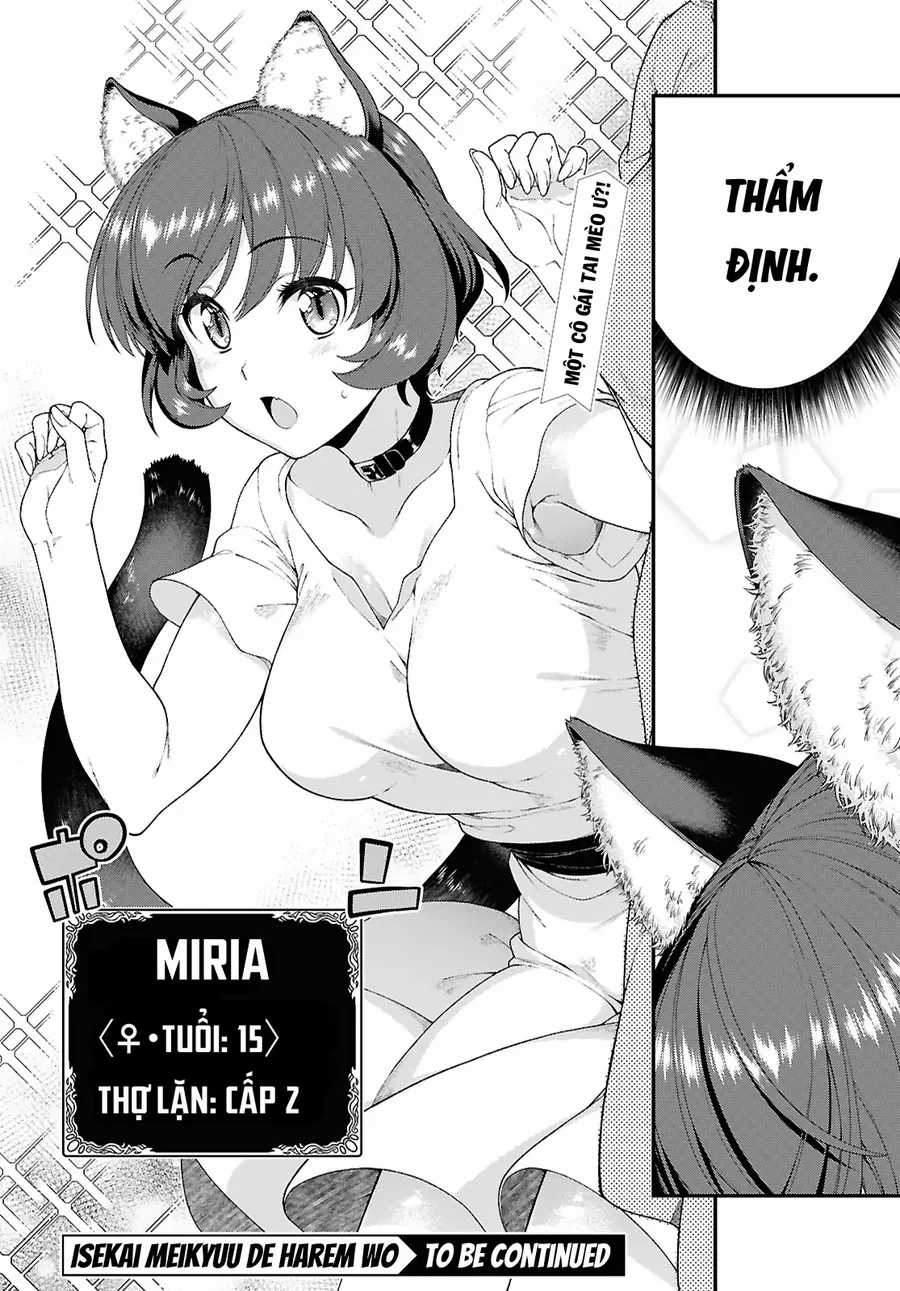 Thiết Lập Dàn Harem Tại Thế Giới Khác - Chapter 92 - Trang 17