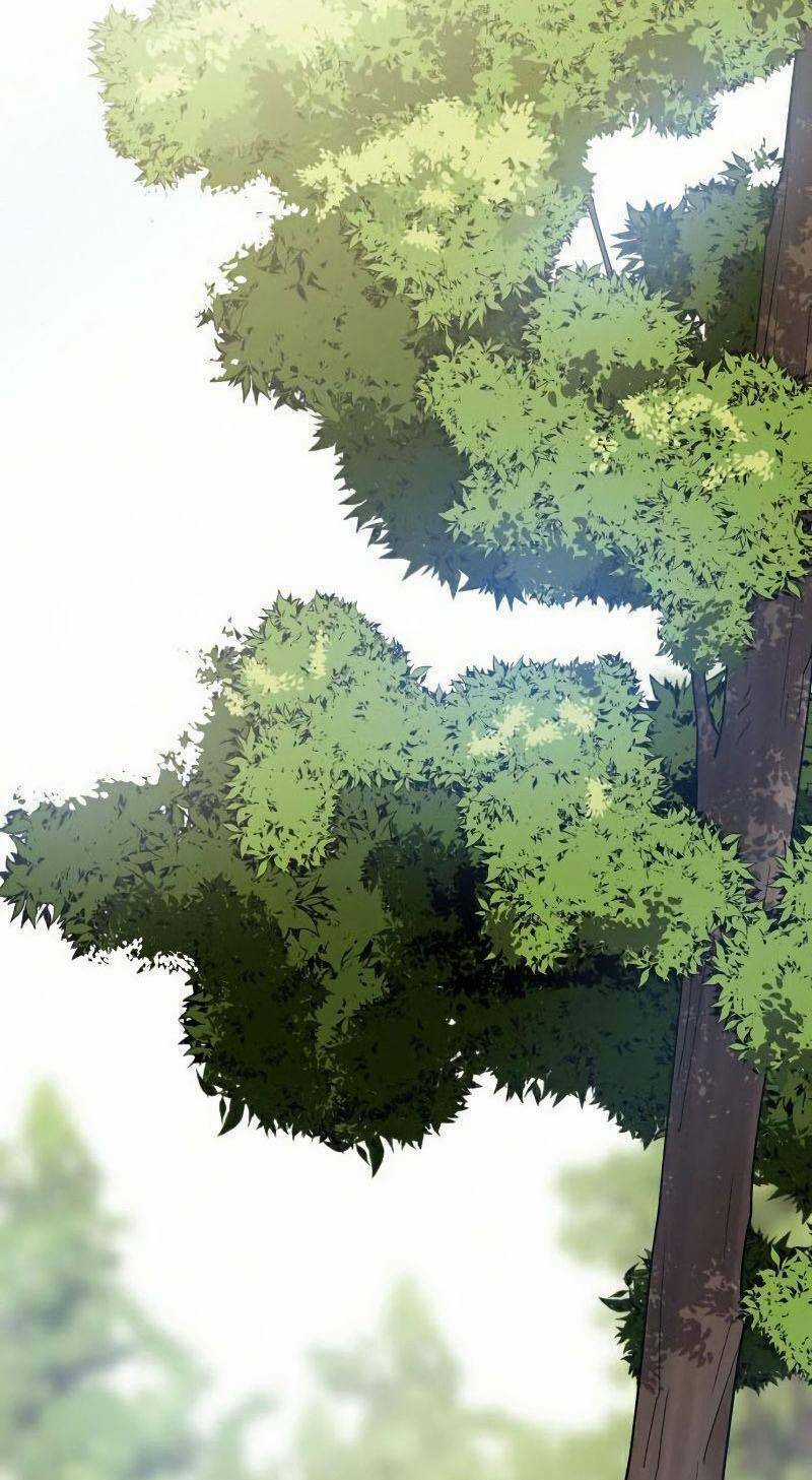 Thiếu Niên Kiếm Sư - Chapter 11 - Trang 2