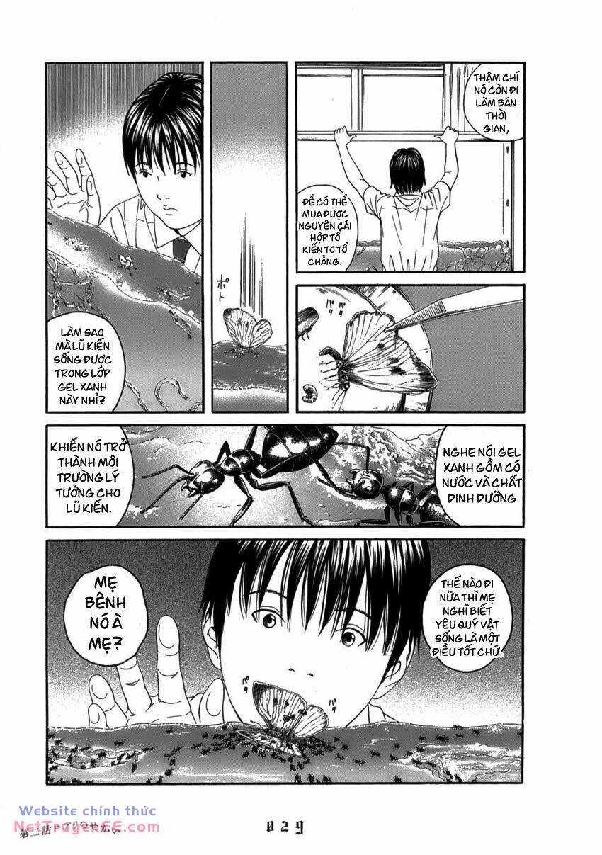 Thiếu Niên Thiếu Nữ Phiêu Lưu Ký - Chapter 2 - Trang 4