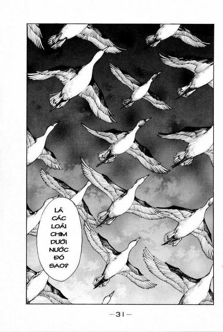 Thiếu niên vương phần 2 - Chapter 13 - Trang 35