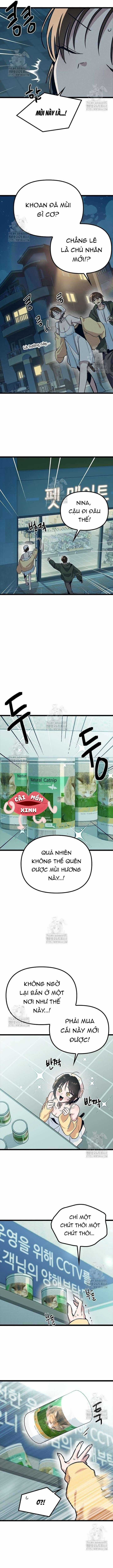 Thiếu Nữ 12 Con Giáp - Chương 21 - Trang 14