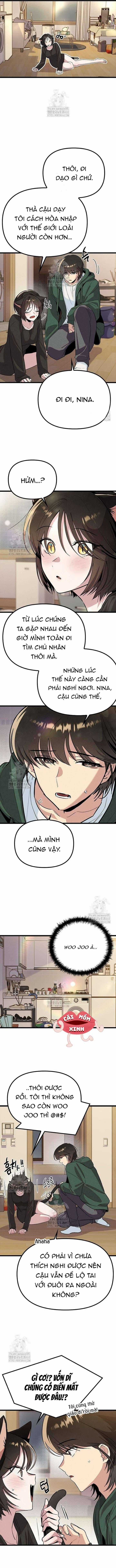 Thiếu Nữ 12 Con Giáp - Chương 21 - Trang 3