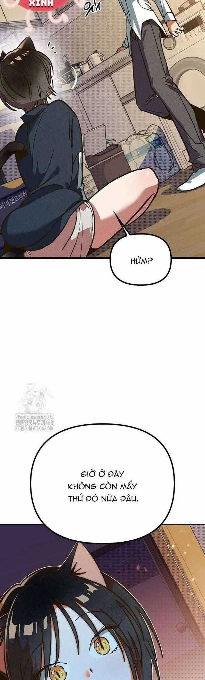 Thiếu Nữ Hoàng Đạo - Chapter 4 - Trang 61