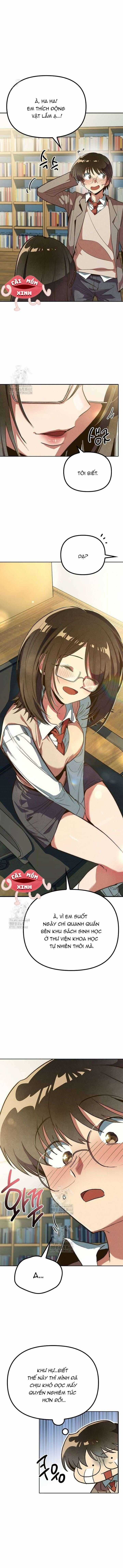 Thiếu Nữ Hoàng Đạo - Chapter 5 - Trang 15