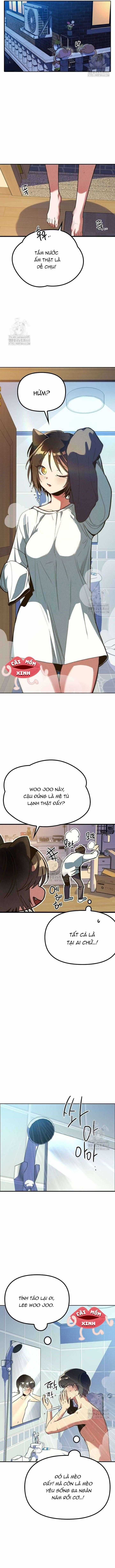 Thiếu Nữ Hoàng Đạo - Chapter 5 - Trang 3