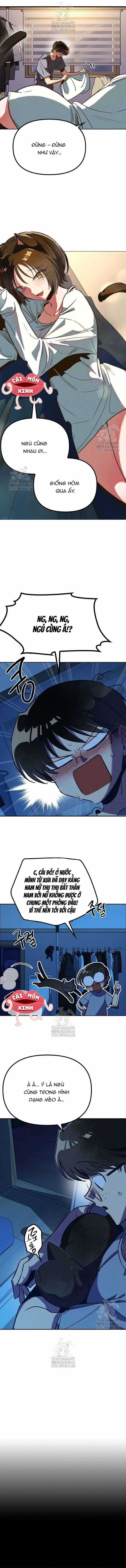 Thiếu Nữ Hoàng Đạo - Chapter 5 - Trang 5