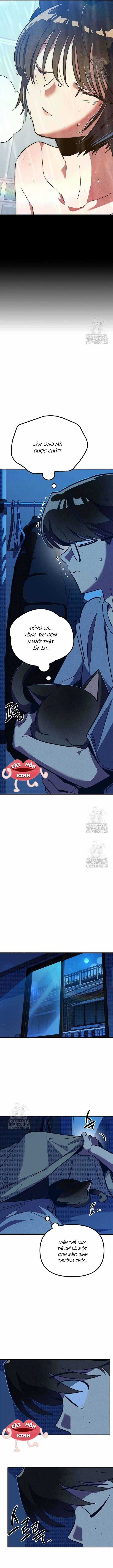 Thiếu Nữ Hoàng Đạo - Chapter 5 - Trang 6