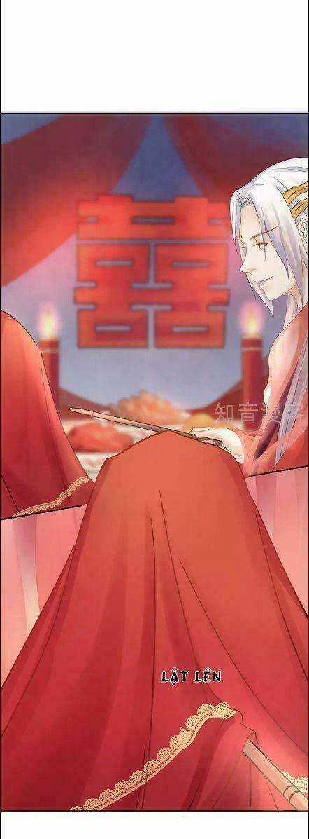 Thiếu Nữ Sấm Sét - Chapter 14 - Trang 14