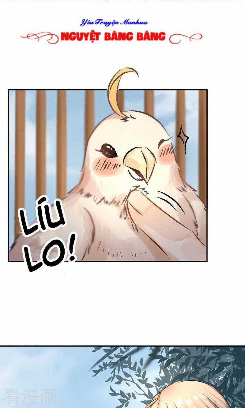 Thiếu Nữ Sấm Sét - Chapter 24 - Trang 16