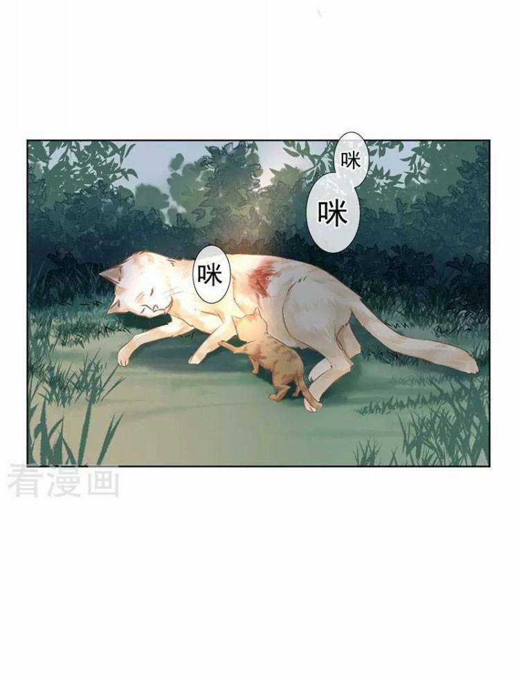 Thiếu Nữ Sấm Sét - Chapter 25 - Trang 24