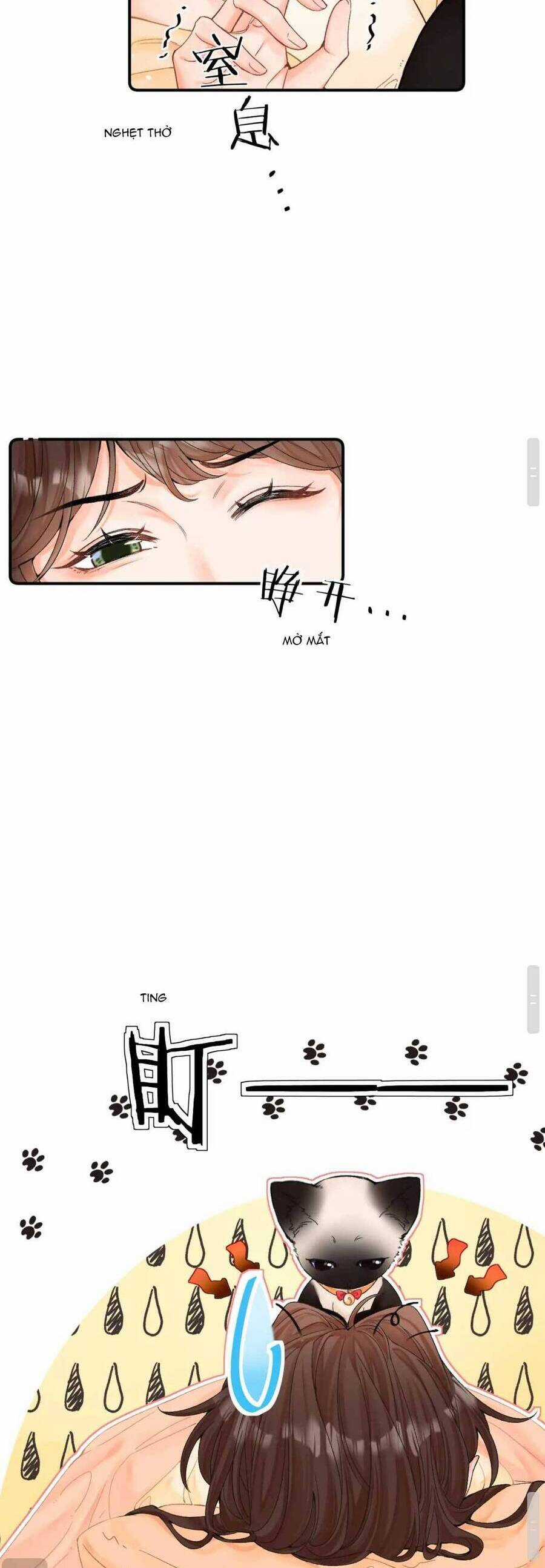 Thỉnh Đa Loan Chiếu - Chapter 8 - Trang 21