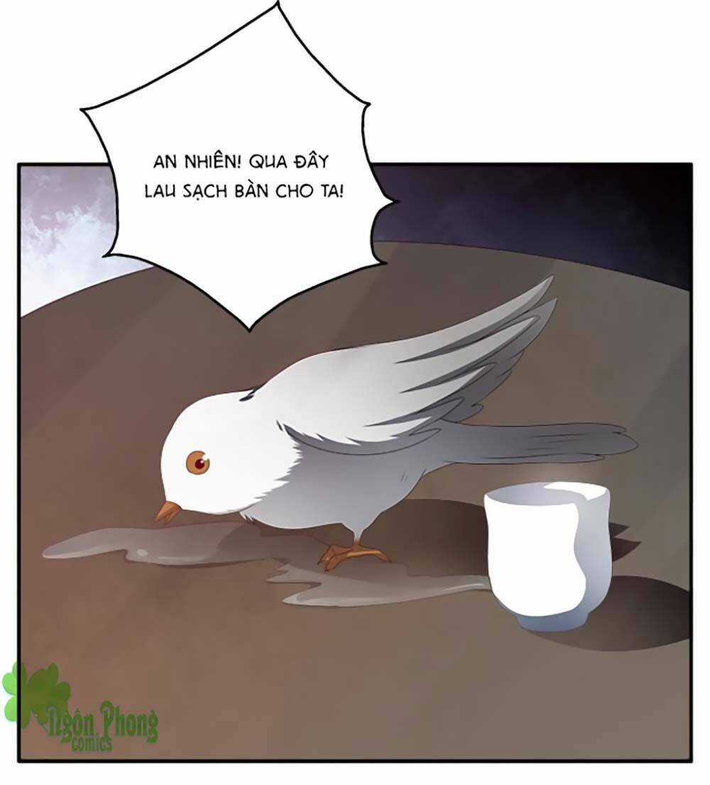 Thịnh Thế An Nhiên - Chapter 23 - Trang 13