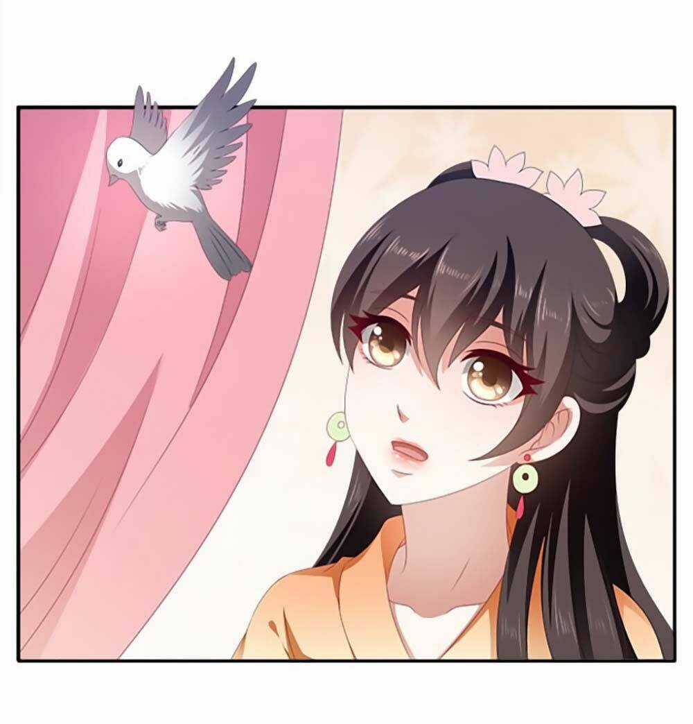 Thịnh Thế An Nhiên - Chapter 23 - Trang 10