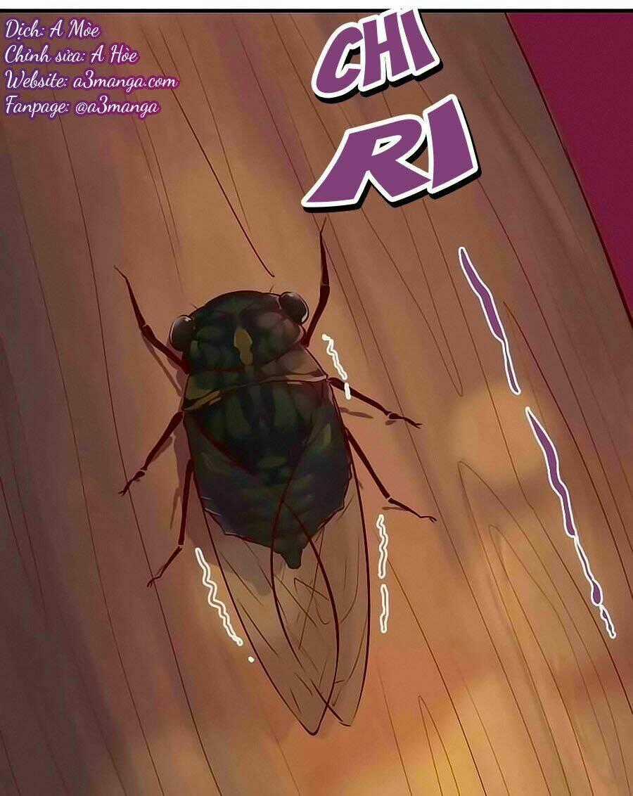 Thịnh Thế Đế Vương Phi - Chapter 82 - Trang 1