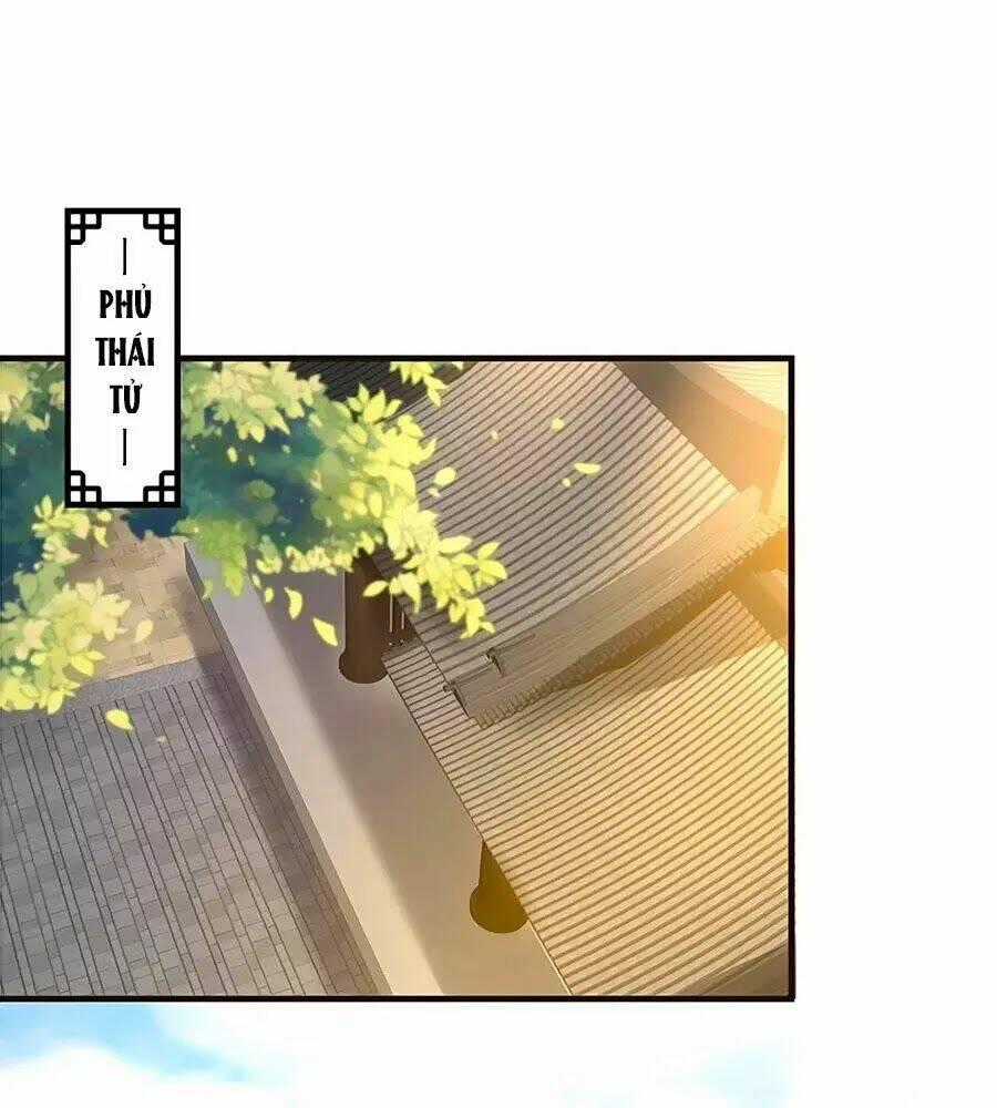 Thịnh Thế Lê Hoa Điện - Chapter 61 - Trang 1