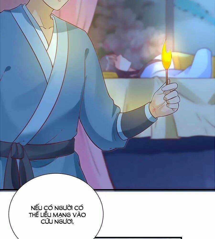 Thịnh Thế Lê Hoa Điện - Chapter 61 - Trang 67