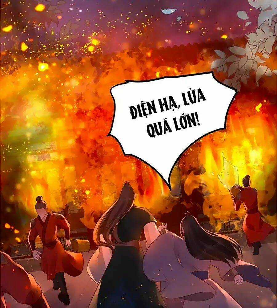 Thịnh Thế Lê Hoa Điện - Chapter 62 - Trang 23