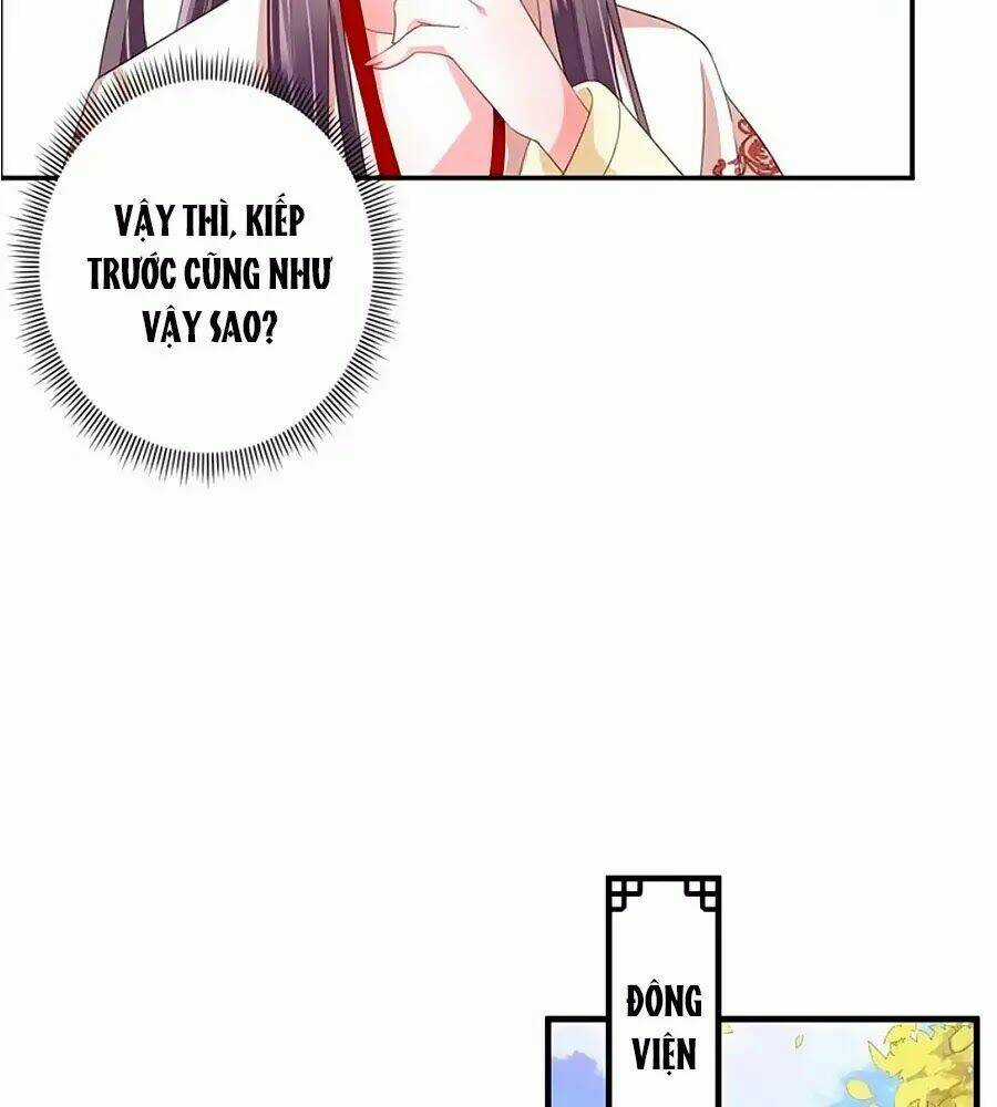Thịnh Thế Lê Hoa Điện - Chapter 65 - Trang 23