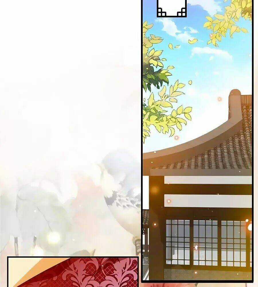 Thịnh Thế Lê Hoa Điện - Chapter 65 - Trang 24