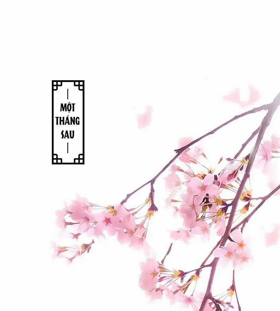 Thịnh Thế Lê Hoa Điện - Chapter 67 - Trang 1