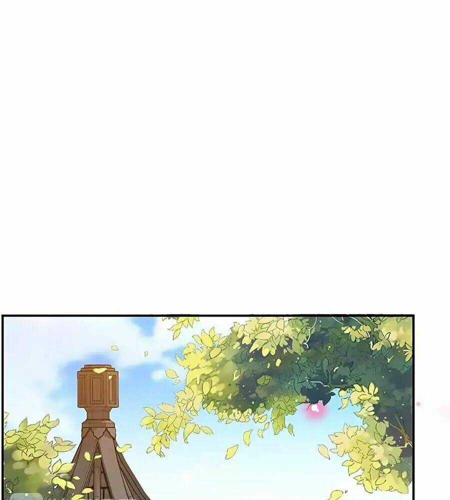 Thịnh Thế Lê Hoa Điện - Chapter 69 - Trang 25