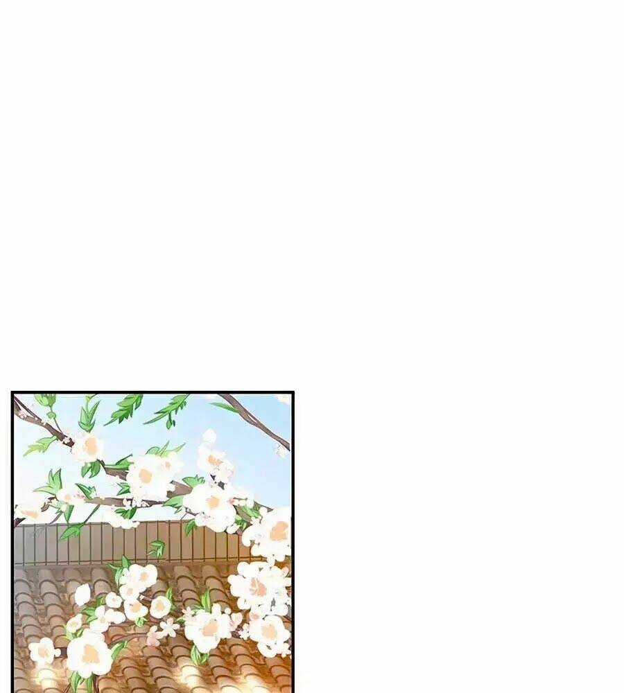 Thịnh Thế Lê Hoa Điện - Chapter 69 - Trang 49