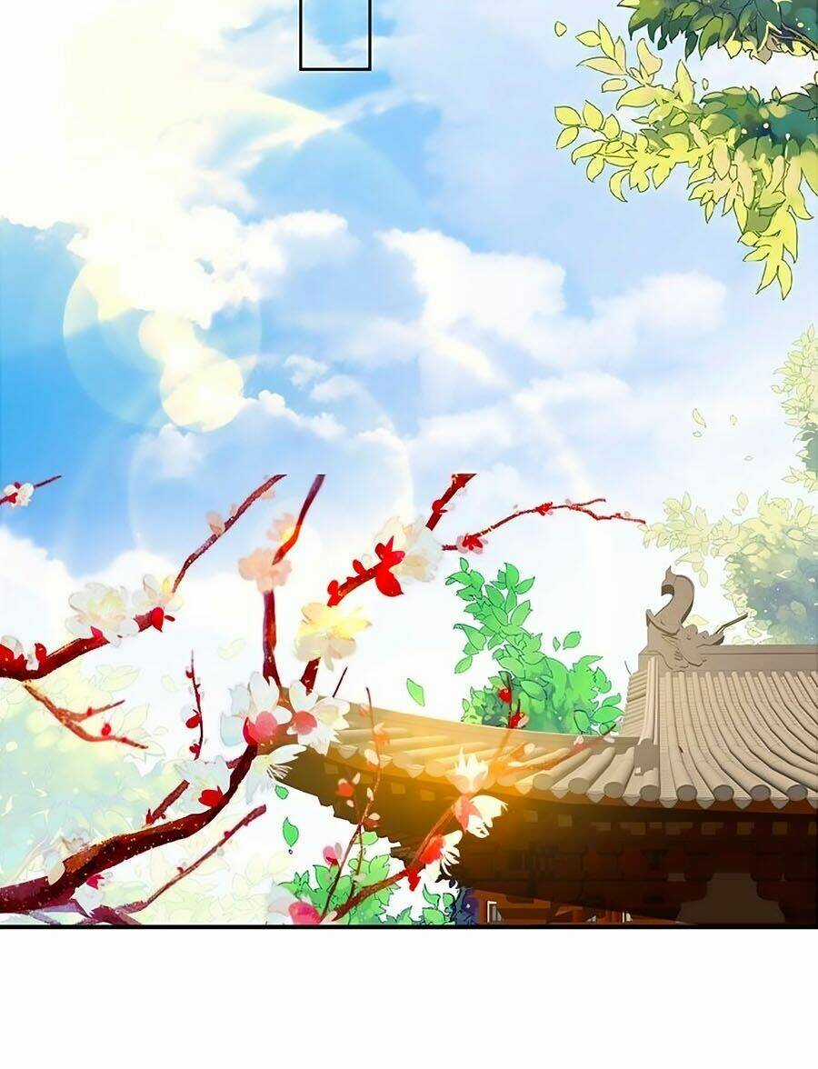 Thịnh Thế Lê Hoa Điện - Chapter 73 - Trang 24