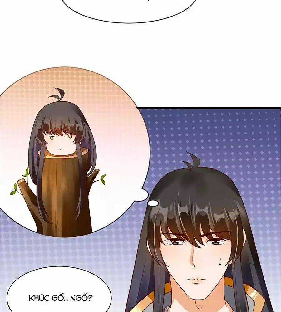 Thịnh Thế Lê Hoa Điện - Chapter 75 - Trang 5