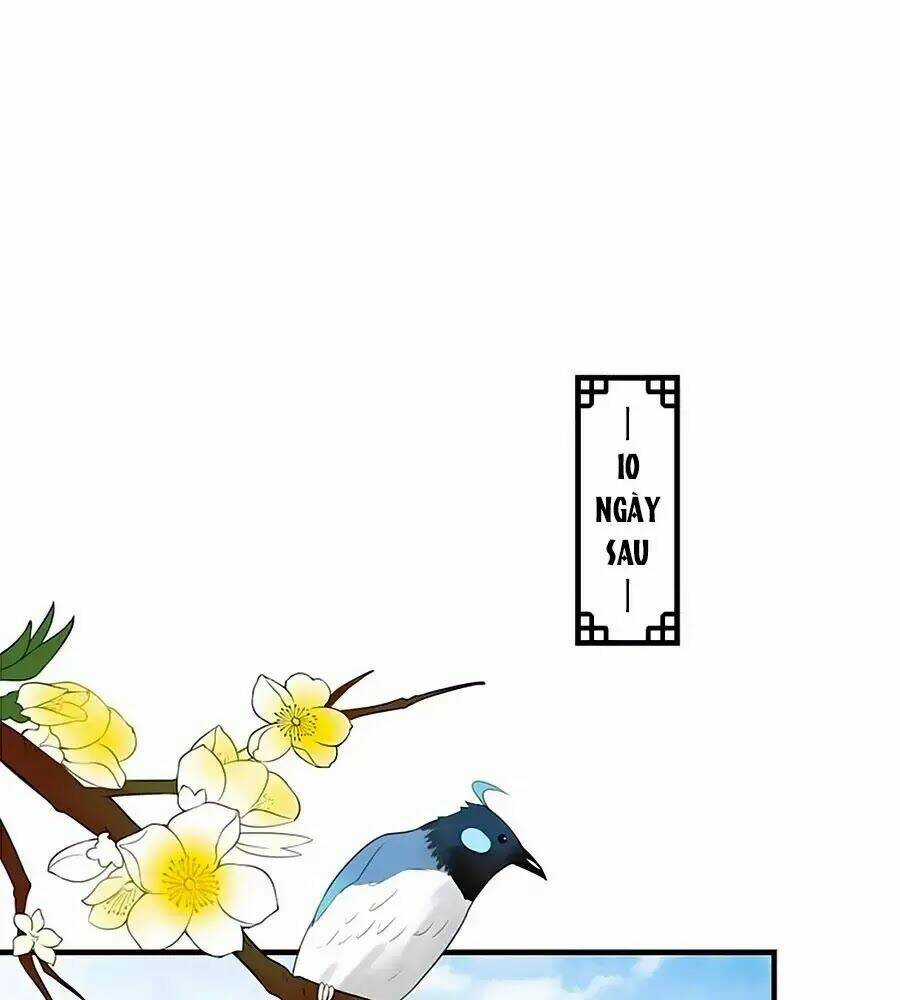 Thịnh Thế Lê Hoa Điện - Chapter 76 - Trang 50