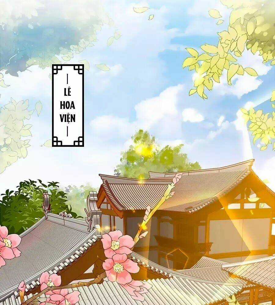Thịnh Thế Lê Hoa Điện - Chapter 76 - Trang 52