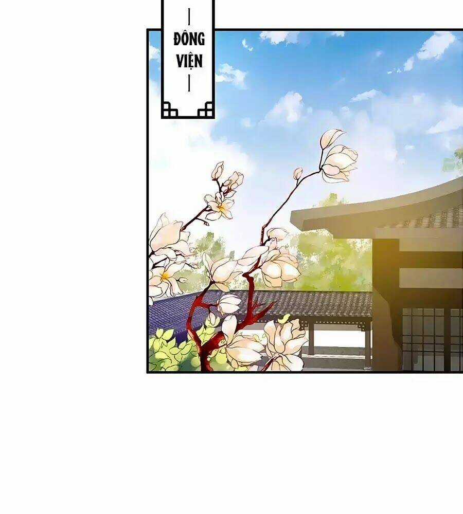 Thịnh Thế Lê Hoa Điện - Chapter 77 - Trang 23