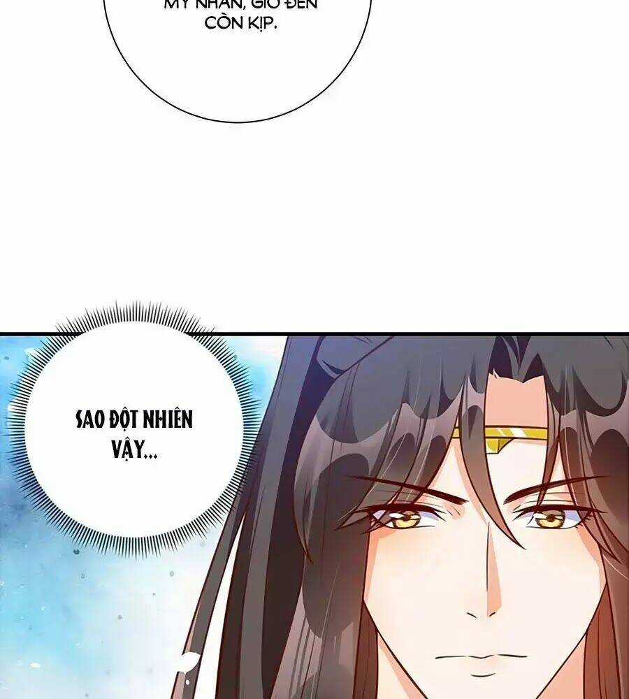 Thịnh Thế Lê Hoa Điện - Chapter 78 - Trang 71