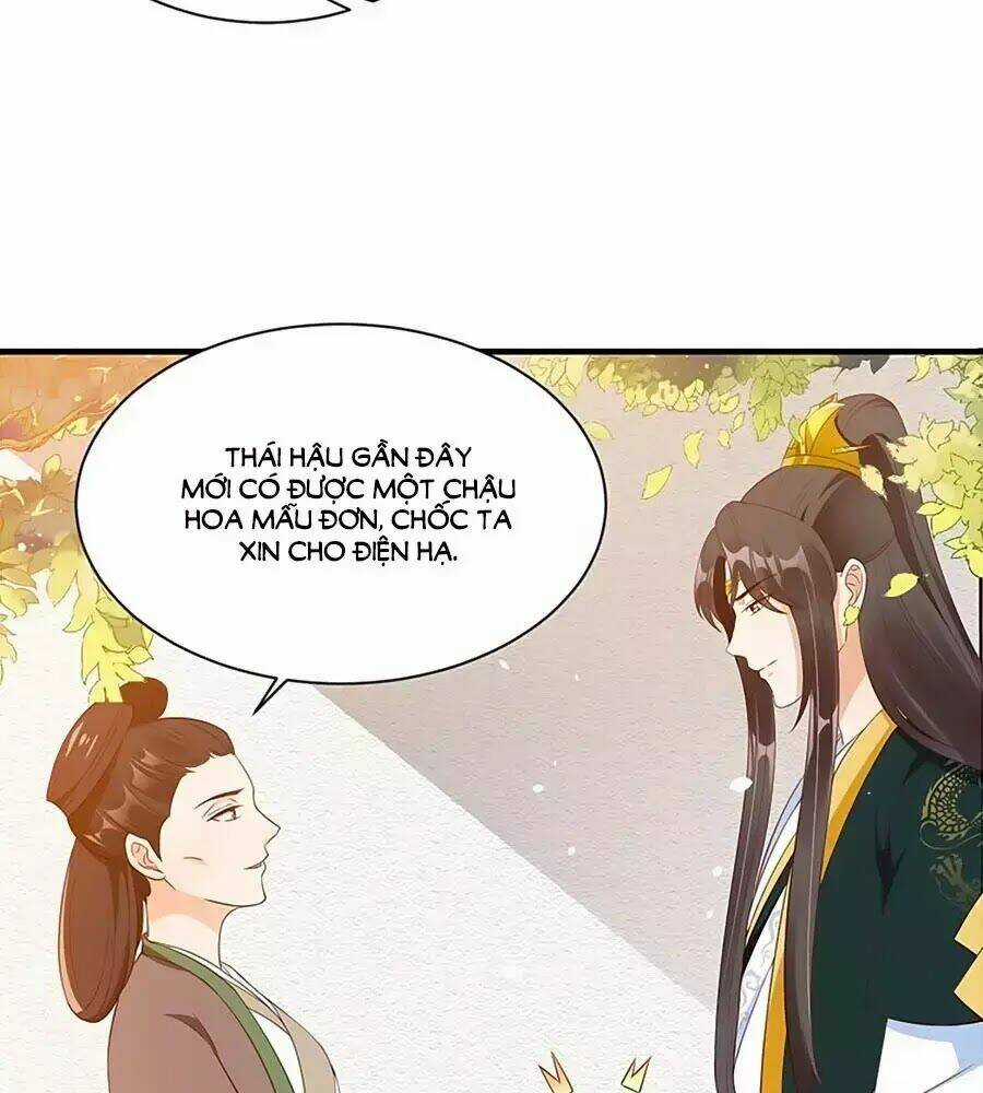 Thịnh Thế Lê Hoa Điện - Chapter 84 - Trang 11