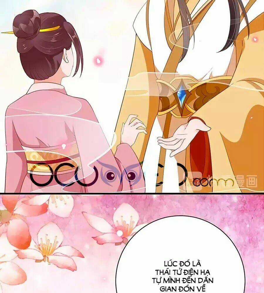 Thịnh Thế Lê Hoa Điện - Chapter 85 - Trang 4