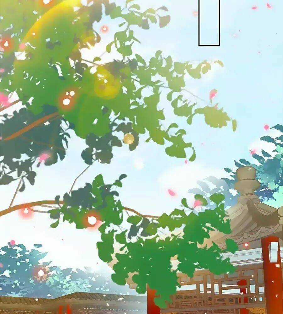 Thịnh Thế Lê Hoa Điện - Chapter 88 - Trang 25