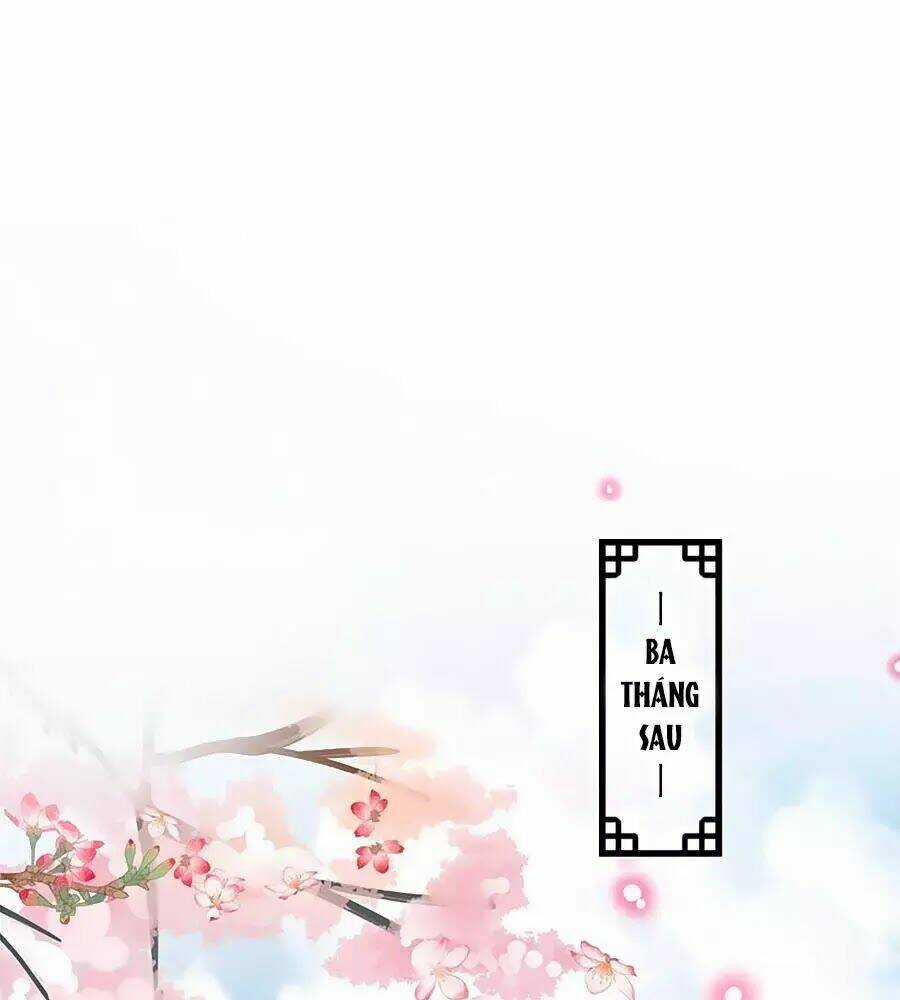 Thịnh Thế Lê Hoa Điện - Chapter 91 - Trang 15