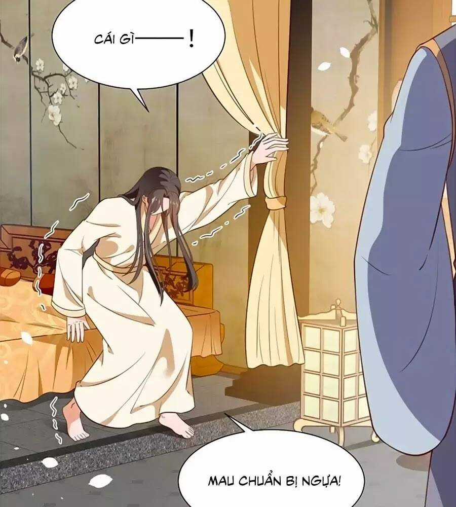 Thịnh Thế Lê Hoa Điện - Chapter 94 - Trang 53
