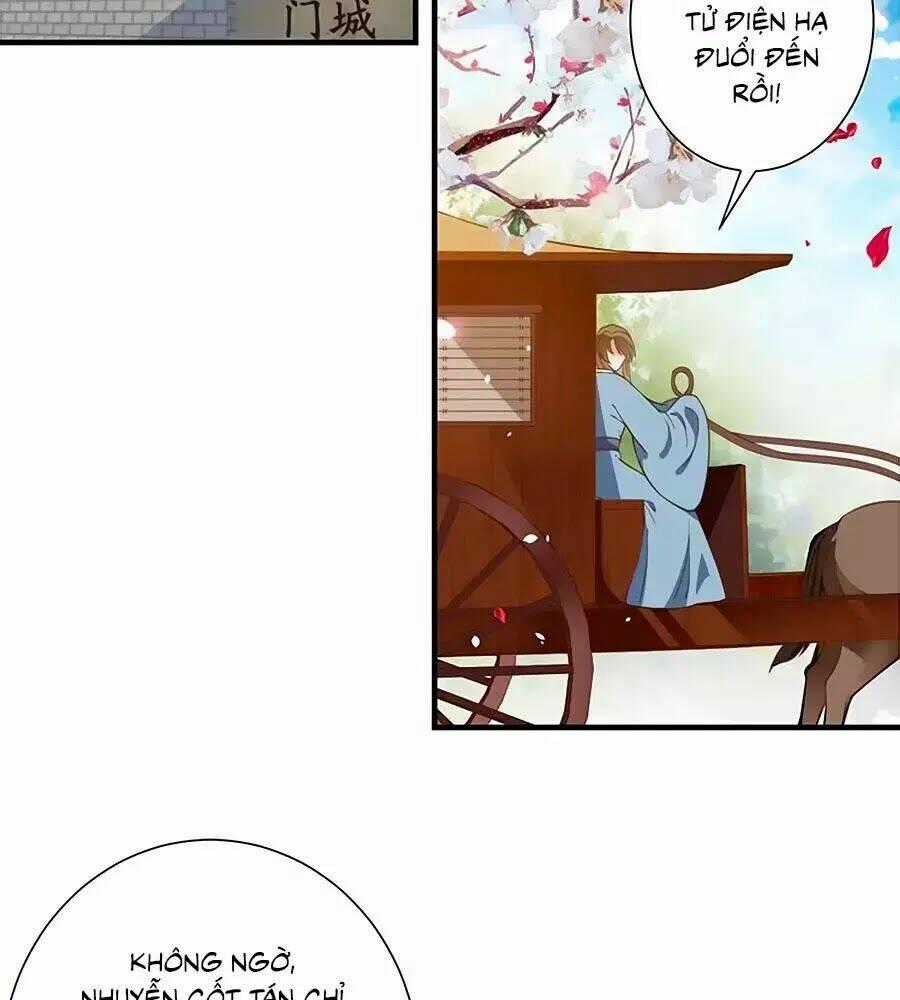 Thịnh Thế Lê Hoa Điện - Chapter 95 - Trang 2