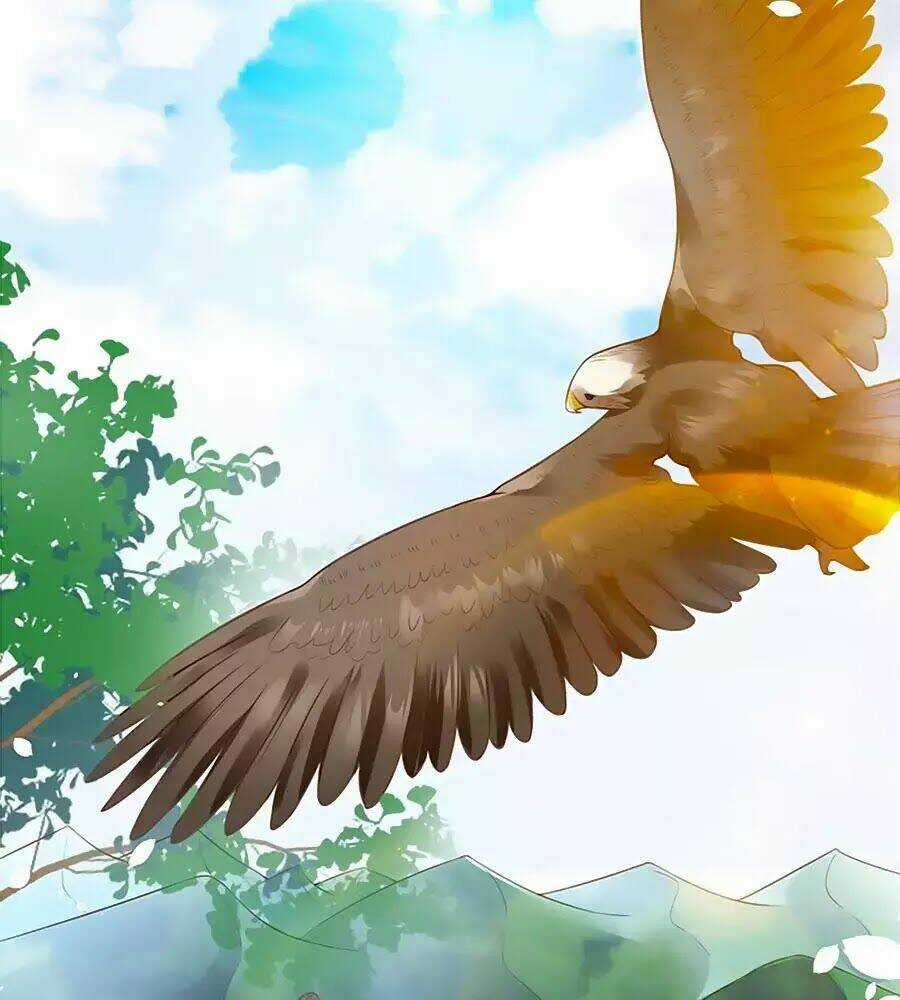 Thịnh Thế Lê Hoa Điện - Chapter 96 - Trang 85