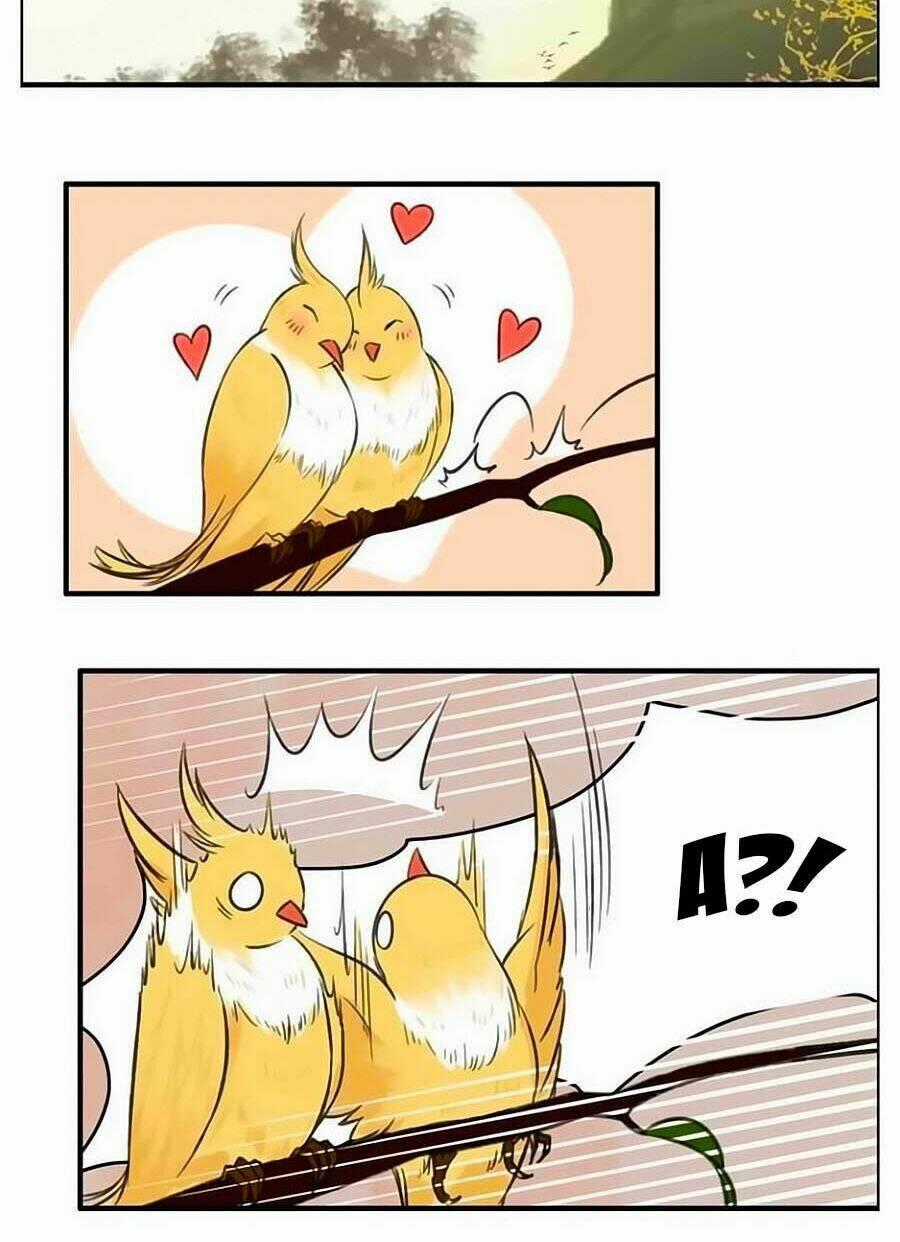 Thịnh Thế Thanh Ca - Chapter 7 - Trang 2