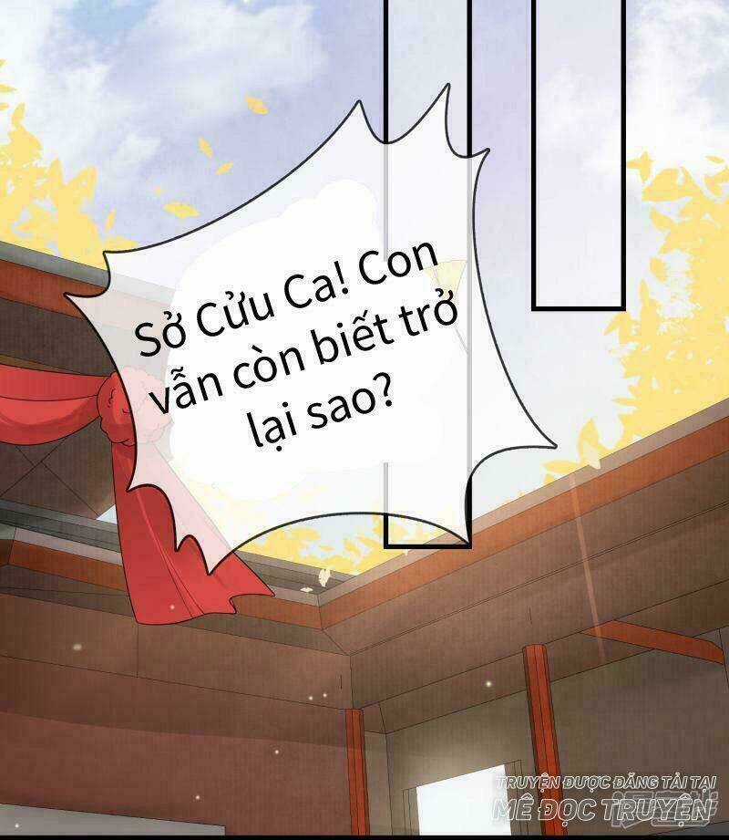 Thịnh Thế Thiên Kiêu - Chapter 14 - Trang 12