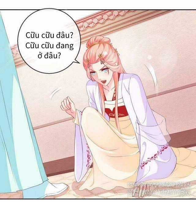 Thịnh Thế Vô Cấu - Chapter 13 - Trang 1