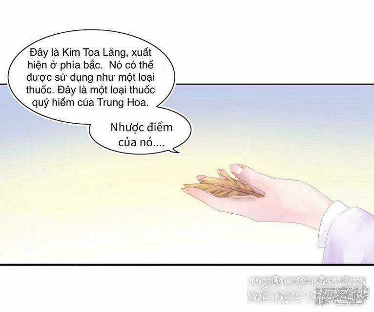 Thịnh Thế Vô Cấu - Chapter 6 - Trang 21