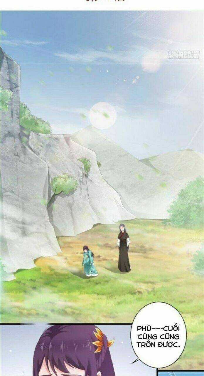 Thịnh Thế Y Nữ - Lãnh Vương Sủng Phi - Chapter 49 - Trang 3