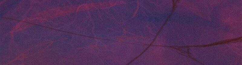 Thợ Săn 3 Cm - Chapter 100 - Trang 115