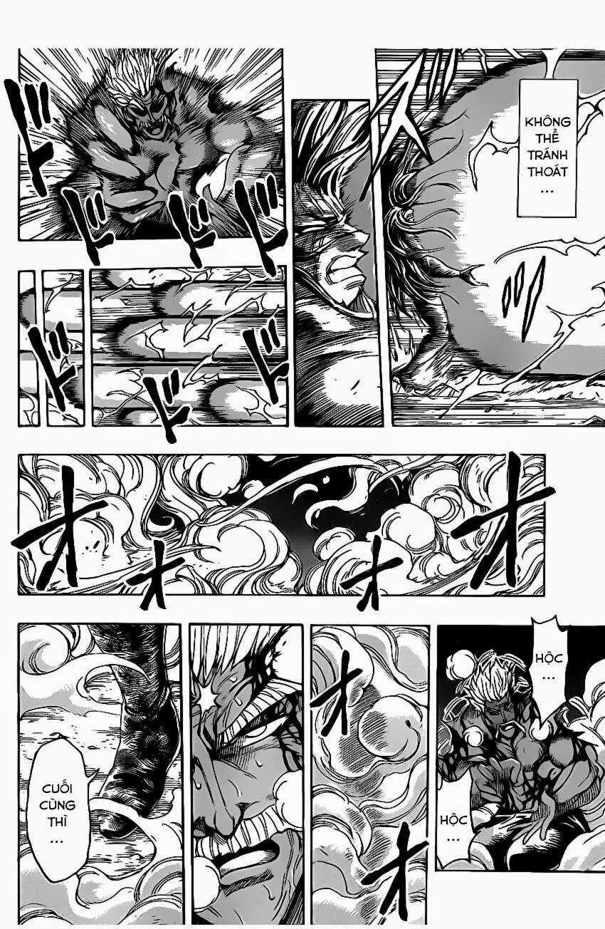 Thợ Săn Ẩm Thực - Chapter 254 - Trang 11