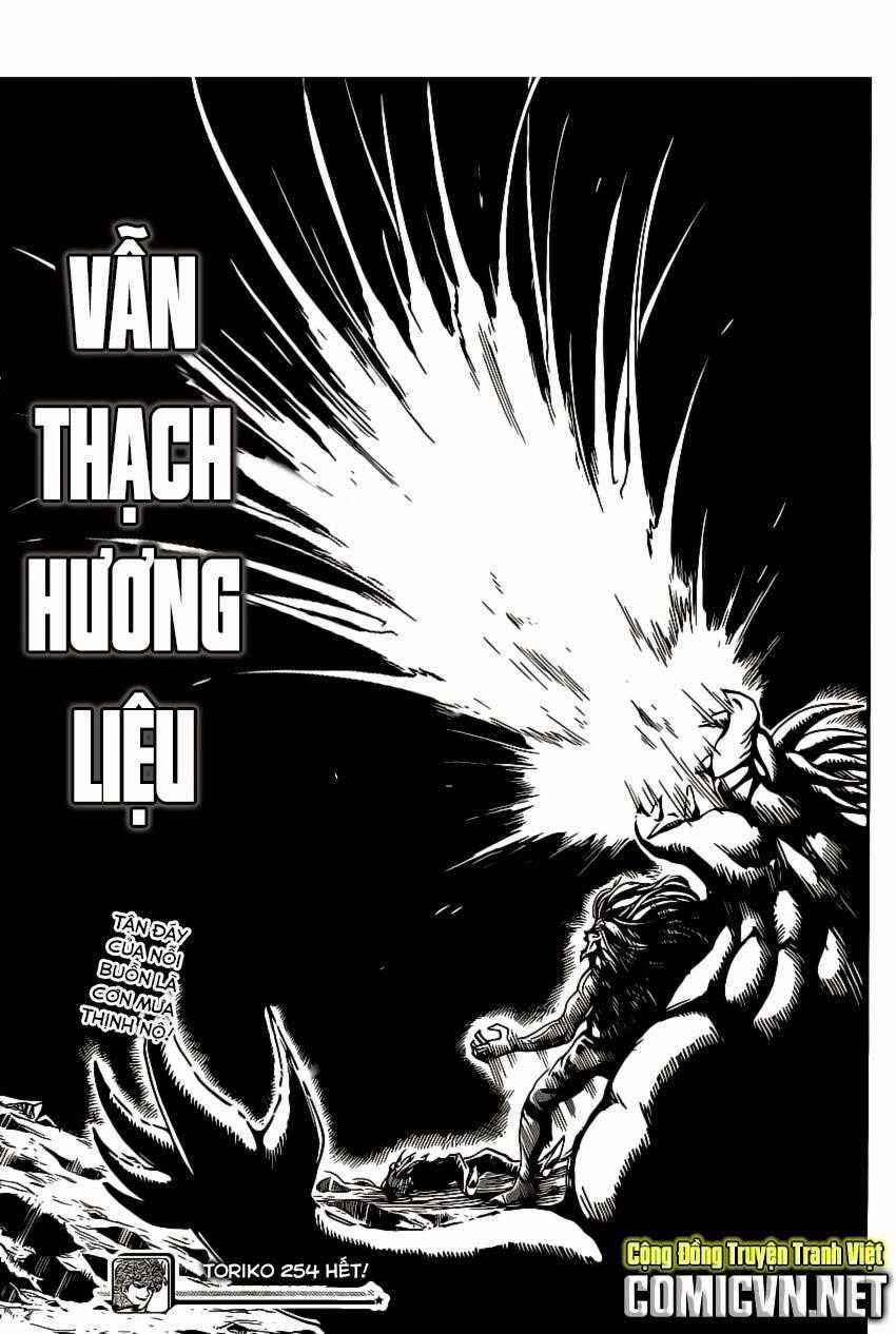 Thợ Săn Ẩm Thực - Chapter 254 - Trang 20