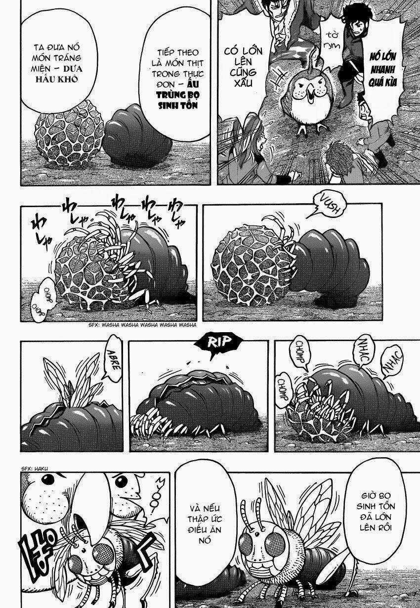 Thợ Săn Ẩm Thực - Chapter 267 - Trang 17